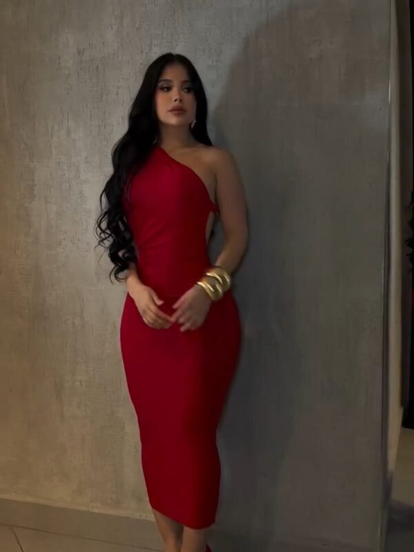 Vestido Polli